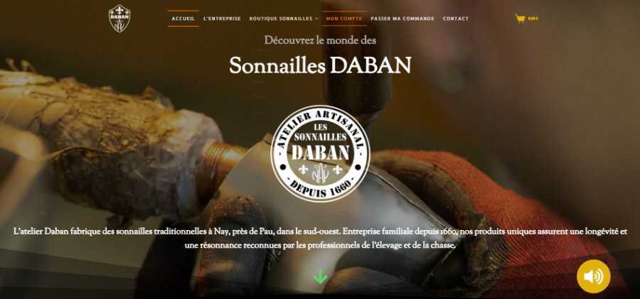 Site e-commerce Daban réalisé par Web Intense à La Réunion